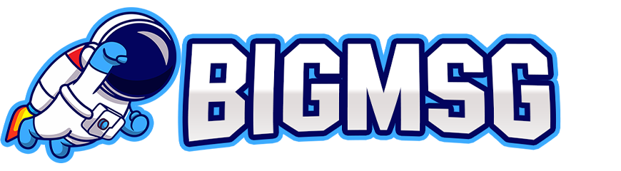 Logo BIGMSG
